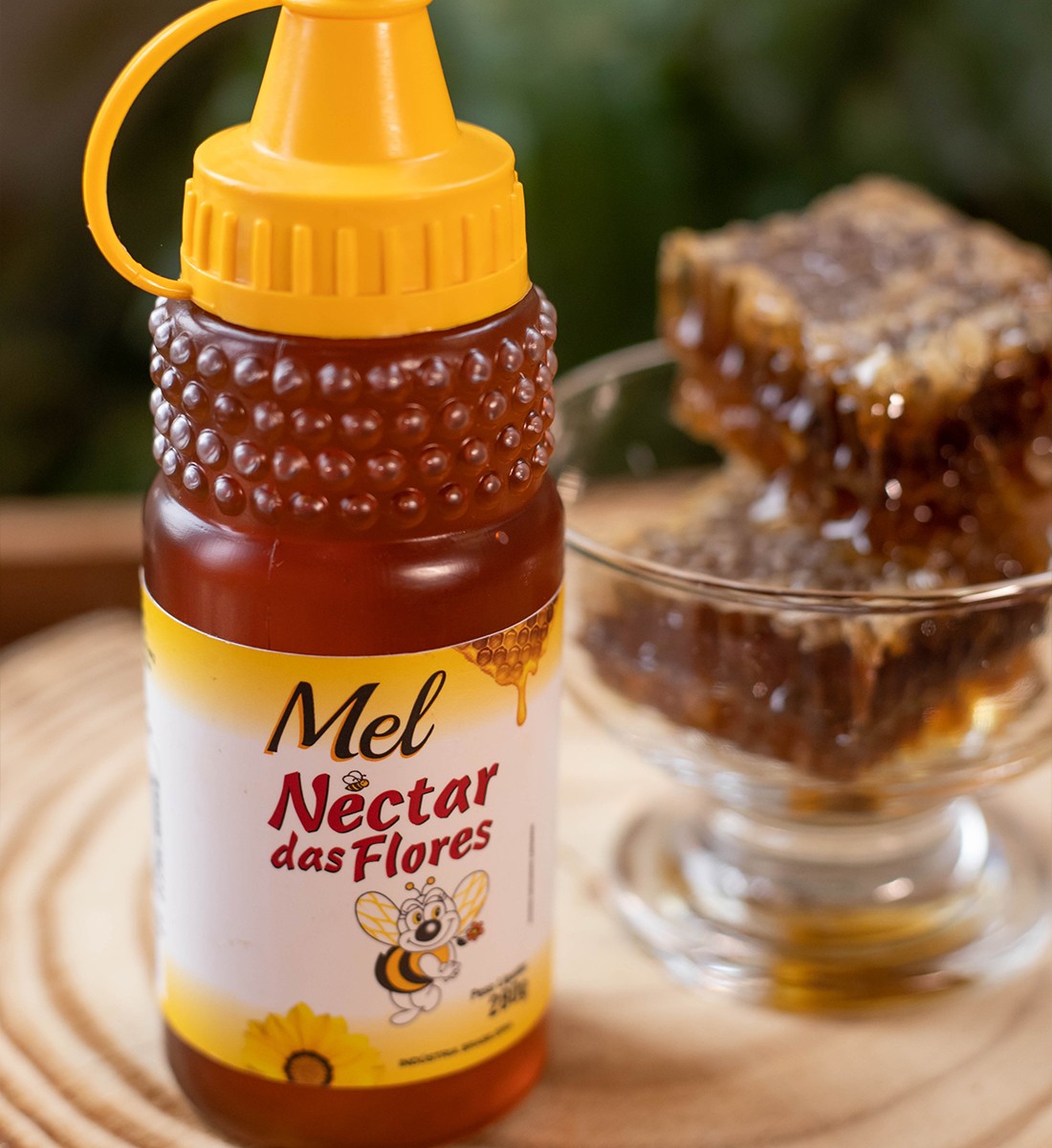 Doces Caseiros Paulinho - Mel Néctar Das Flores